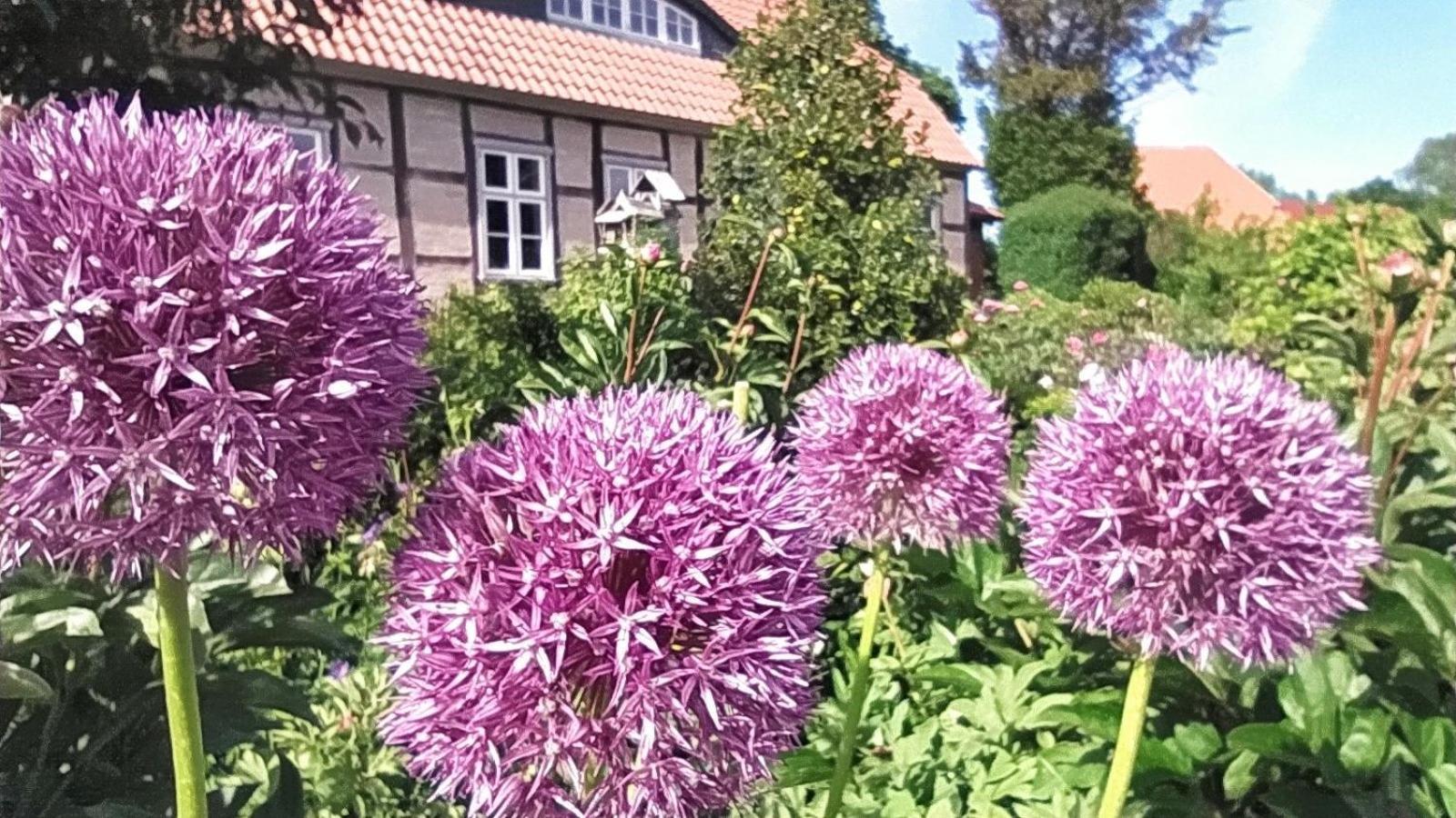 Ferienwohnung Irisgarten Am Pfarrgarten Starkow Velgast Kültér fotó