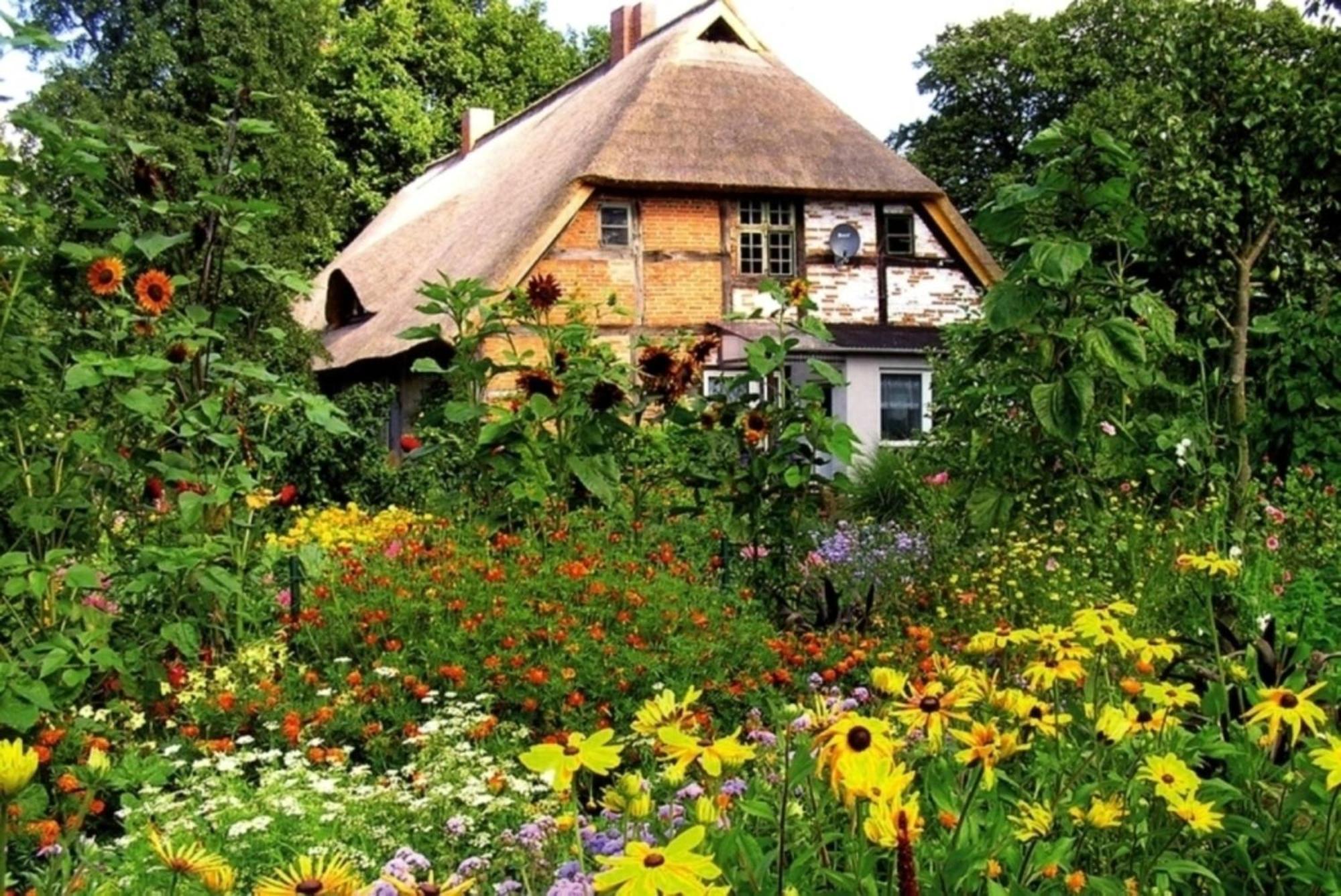 Ferienwohnung Irisgarten Am Pfarrgarten Starkow Velgast Kültér fotó