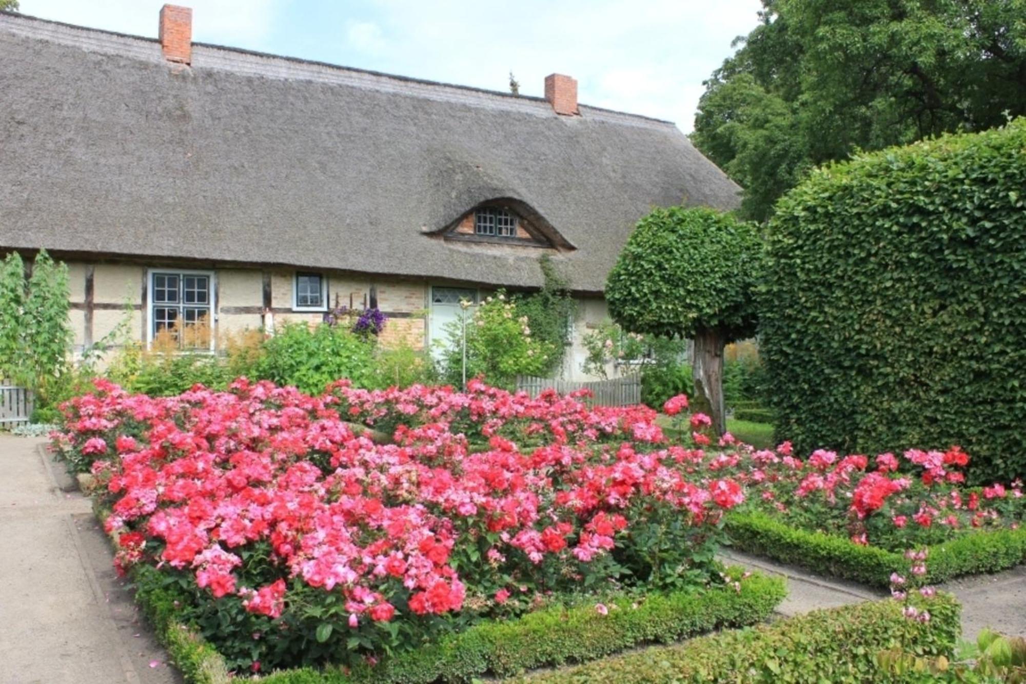 Ferienwohnung Irisgarten Am Pfarrgarten Starkow Velgast Kültér fotó