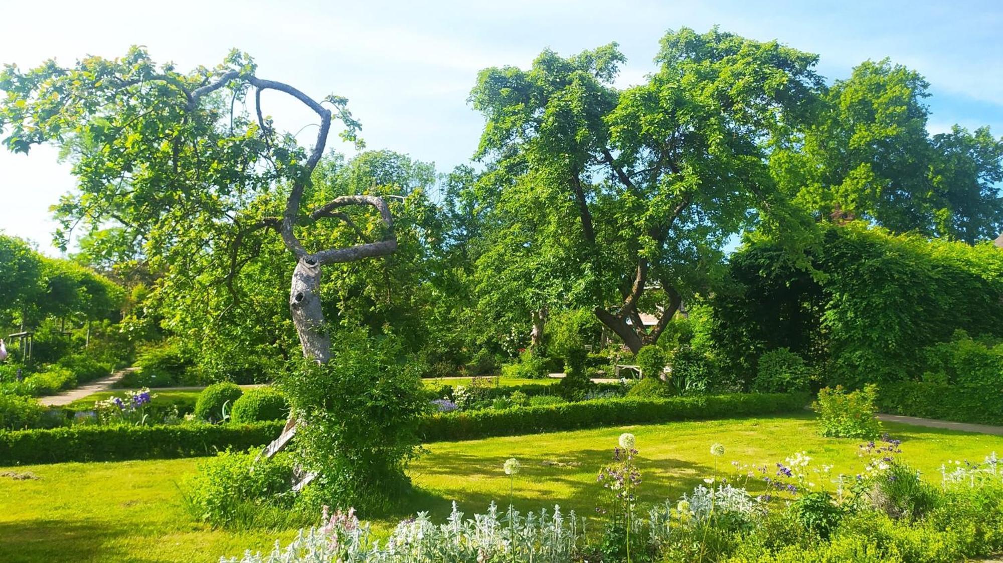 Ferienwohnung Irisgarten Am Pfarrgarten Starkow Velgast Kültér fotó