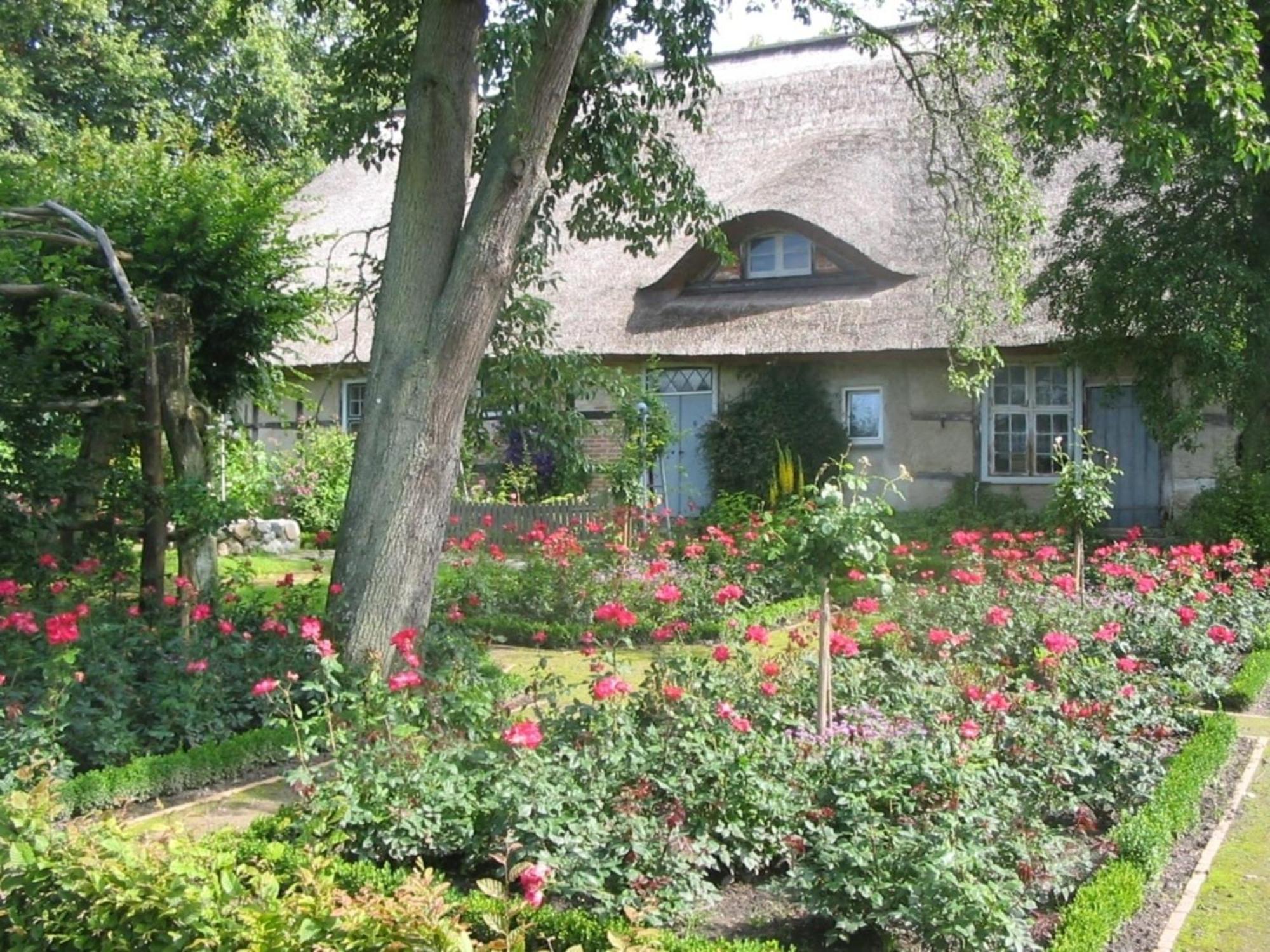 Ferienwohnung Irisgarten Am Pfarrgarten Starkow Velgast Kültér fotó