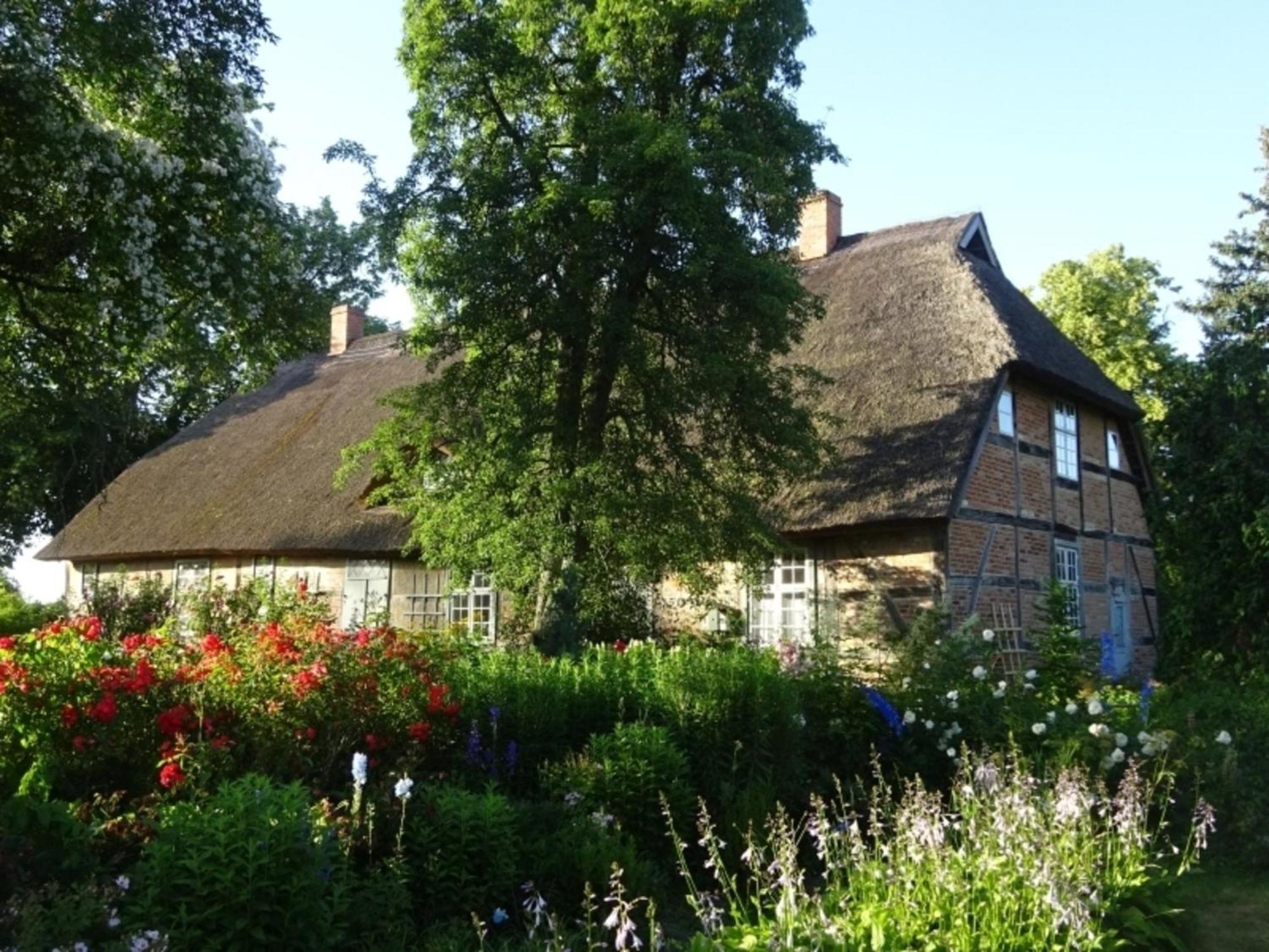 Ferienwohnung Irisgarten Am Pfarrgarten Starkow Velgast Kültér fotó