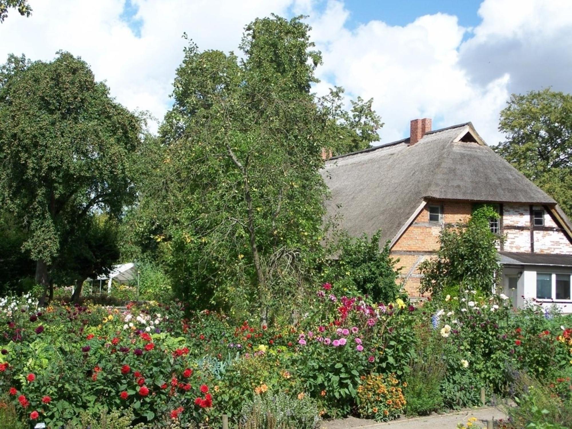Ferienwohnung Irisgarten Am Pfarrgarten Starkow Velgast Kültér fotó