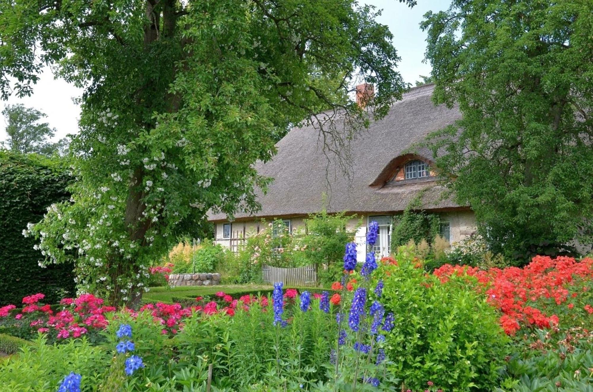 Ferienwohnung Irisgarten Am Pfarrgarten Starkow Velgast Kültér fotó